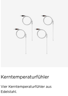 G32_Kerntemperaturfuhler_Lieferumfang.png?ts=1740141177