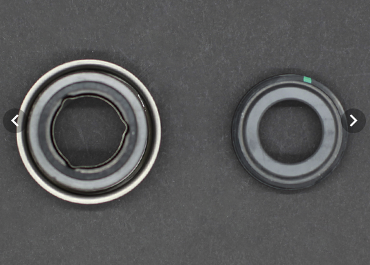 Wellis Dichtung für Hydromassagepumpe