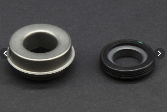 Wellis Dichtung für Hydromassagepumpe