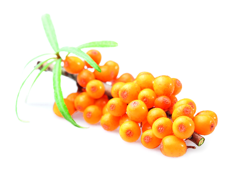 HARVIA Sauna-Duftkonzentrat Sanddorn