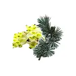 Camylle Voile de Sauna - Cèdre / Litsea