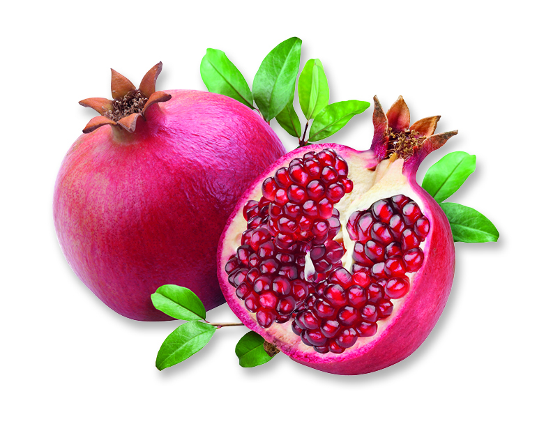 HARVIA Sauna-Duftkonzentrat Granatapfel-Minze-Weihrauch