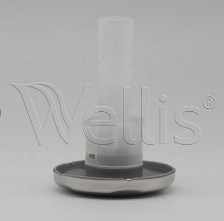 Wellis Düse 2" - 1 Loch