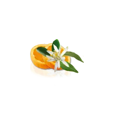 Camylle Velours de Spa - Fleur d'Oranger