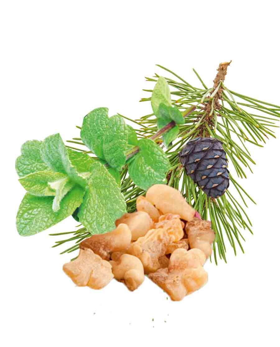 HARVIA Sauna-Duftkonzentrat Pfefferminz-Kiefer-Weihrauch-Myrrhe 