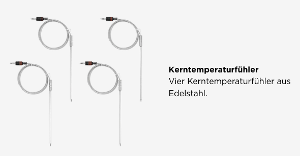 Kerntemperaturfuhler_Lieferumfang.png?ts=1739882869