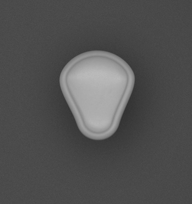 Wellis Ventilgriff neutral V2