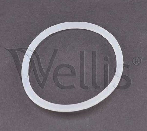 Wellis Reparatursatz für Wasserumkehrer