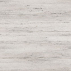 Shoreline Grey