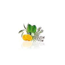 Camylle Velours de Spa - Elinya