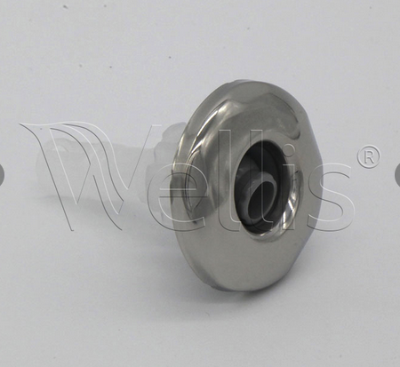 Wellis Düse 2" - 1 Loch