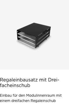 Regaleinbausatz_mit_Dreifacheinschub.png?ts=1739186476