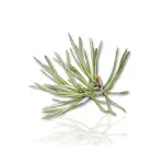 Camylle Voile de Sauna - Pin