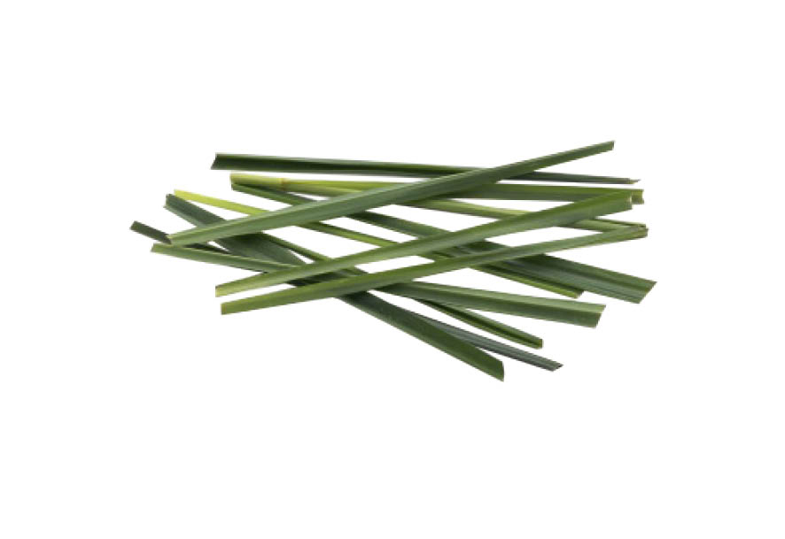 HARVIA Sauna-Duftkonzentrat Zitronengras