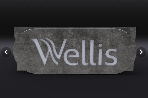 Wellis Logo oval