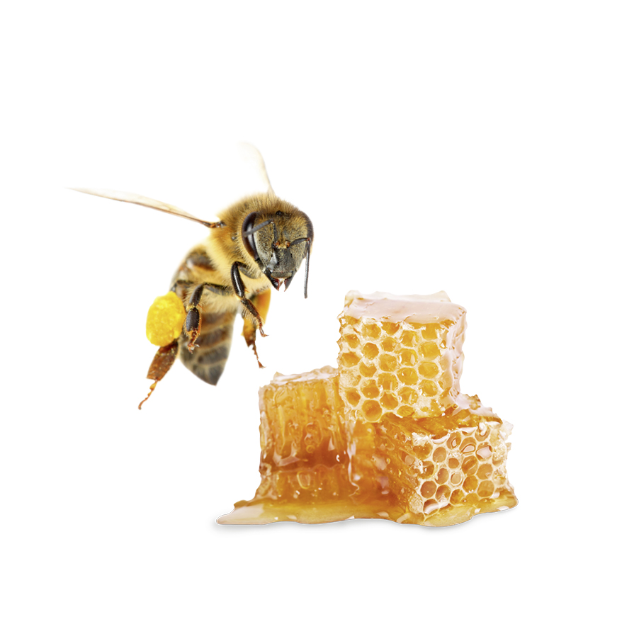 HARVIA Sauna-Duftkonzentrat Honig