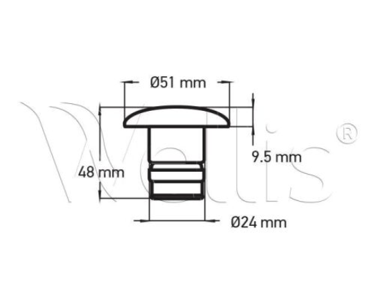 Wellis Jet Einsatz 2" 1 Loch beleuchtet