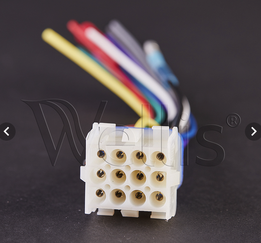 Wellis Aquatic Head Unit Anschluss